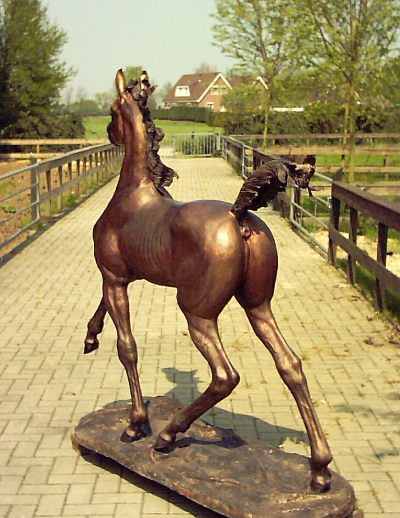 Trotting Arabian colt in Bronze