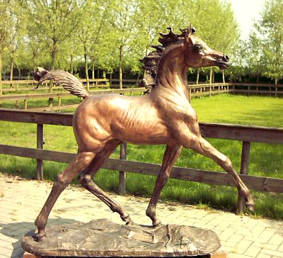 Arabian colt in Bronze