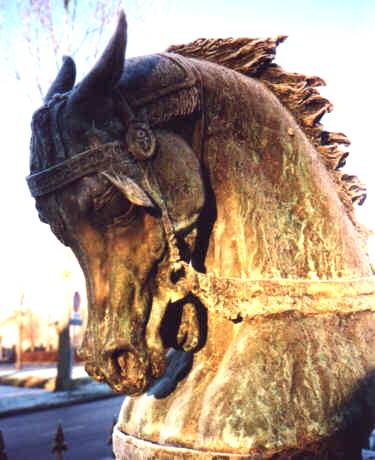  Het brons Arabisch paard van de Grootte van het leven 