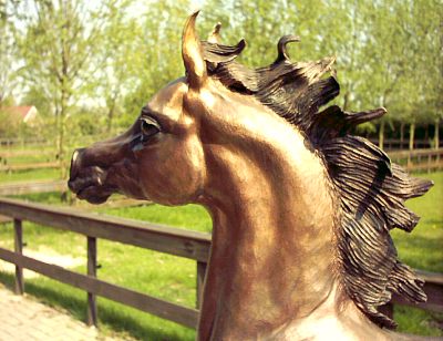 Bronze Arabian colt