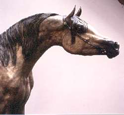  brons paard 
